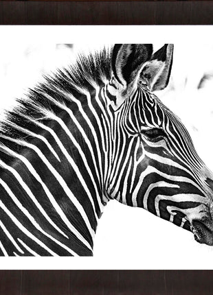 Zebra 2