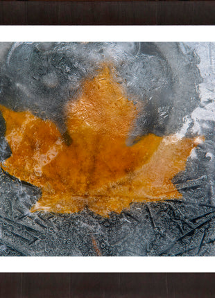 Frozen