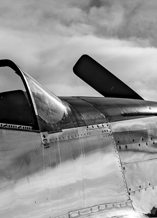 Warbird