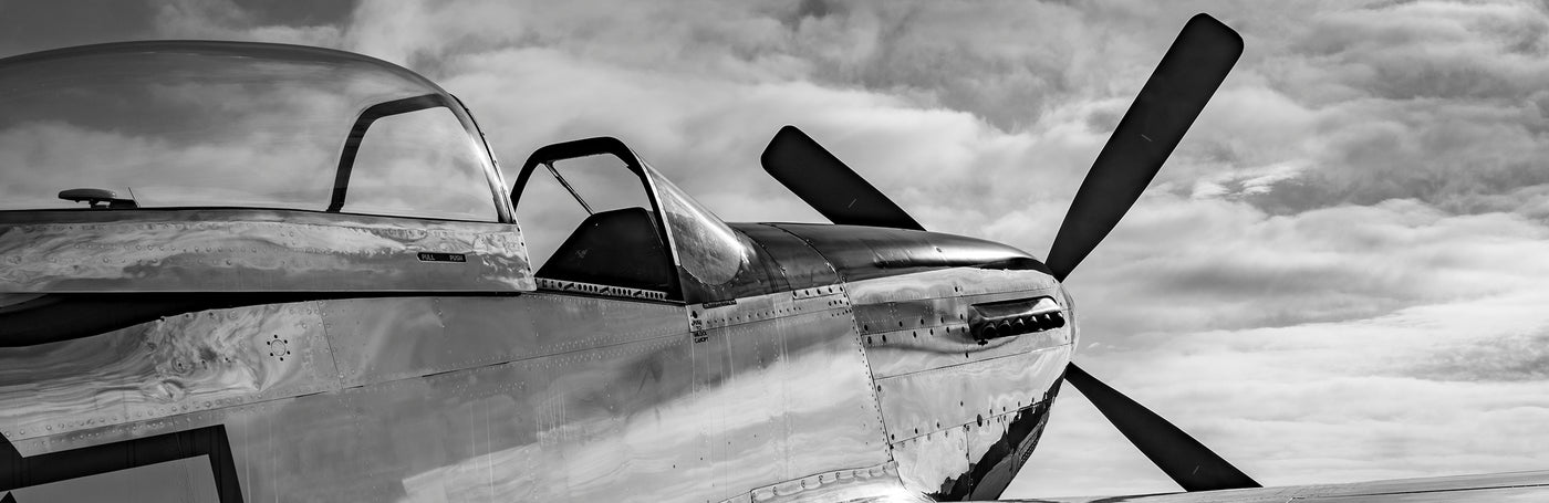 Warbird