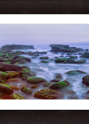 The Mist