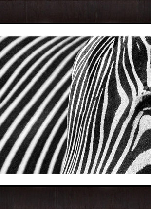 Stripes