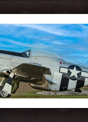 Stallion of The Skies