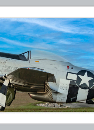 Stallion of The Skies
