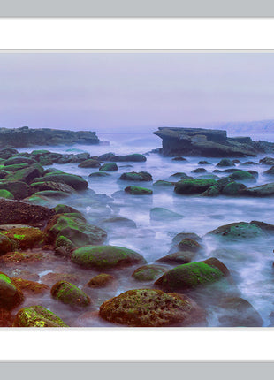 The Mist