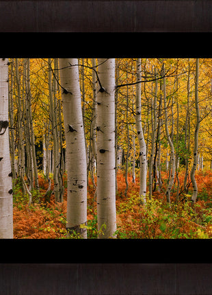 Crested Butte