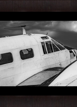 Timeless Flight