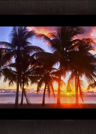 Tropical Sunrise