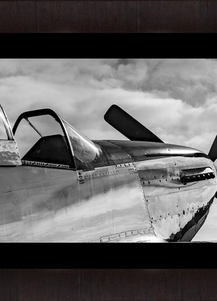 Warbird