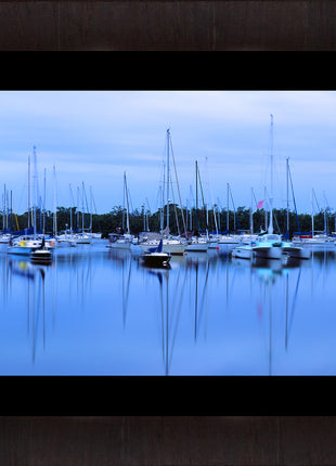 Safe Harbor