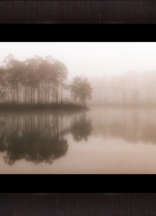 Morning Mist