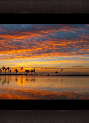 Tropical Glory