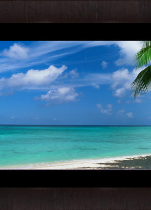 This Side of Paradise