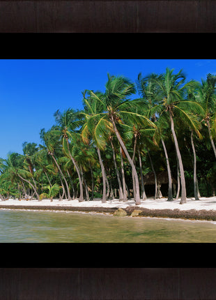 Stranded