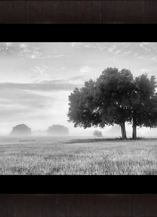 The Clearing Black and White