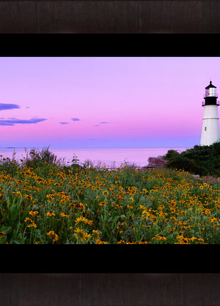 Cape Elizabeth