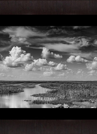 Journey into The River of Grass