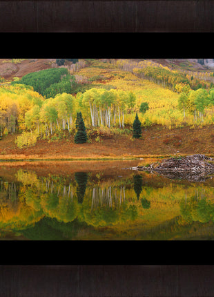 Beaver Pond