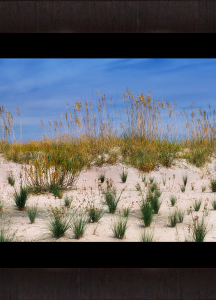 Sea Oats