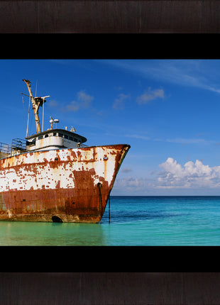 Oceanic Adventure