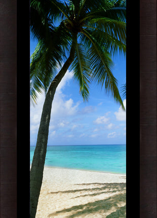 Palm Cove