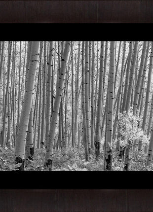 Mcclure Pass