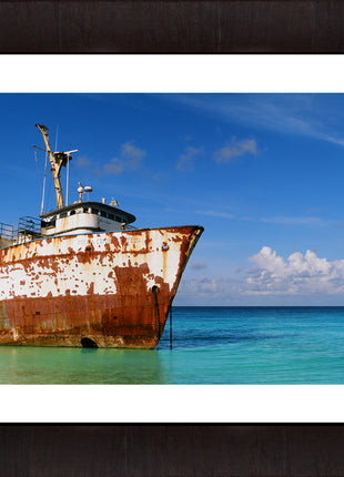Oceanic Adventure