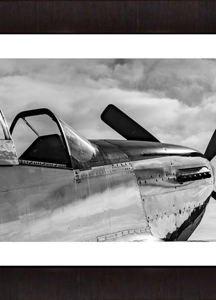Warbird