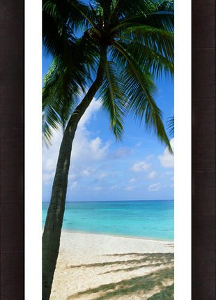 Palm Cove