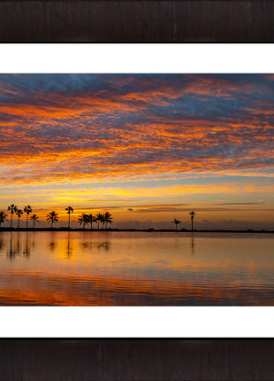 Tropical Glory