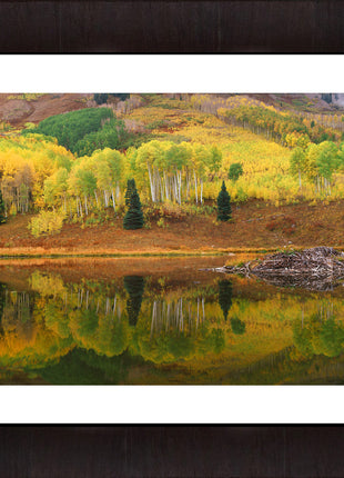 Beaver Pond