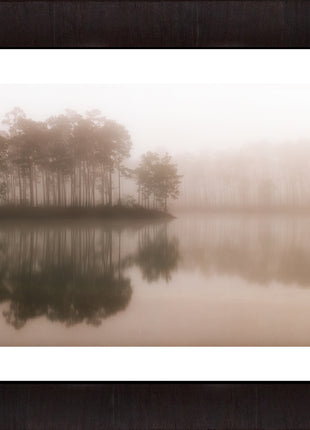 Morning Mist
