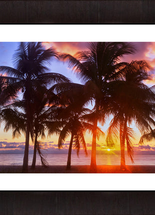 Tropical Sunrise