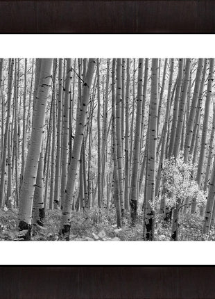 Mcclure Pass
