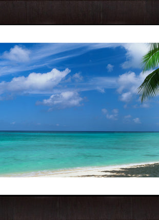 This Side of Paradise