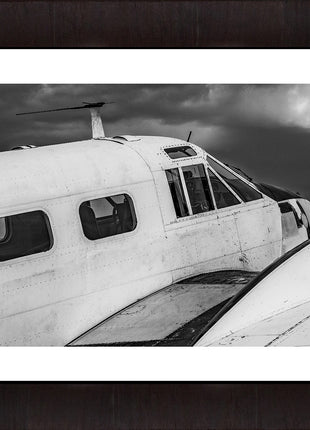 Timeless Flight