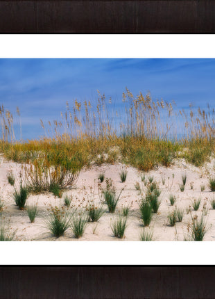 Sea Oats