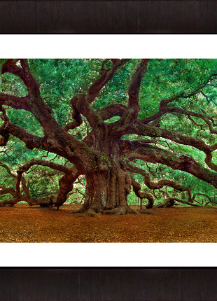 Angel Oak