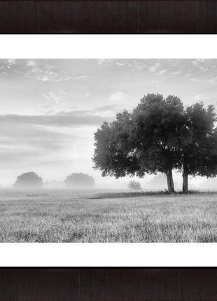 The Clearing Black and White