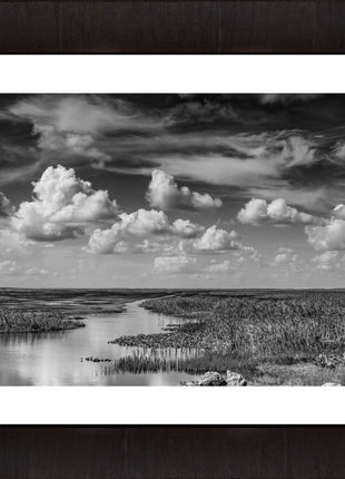 Journey into The River of Grass