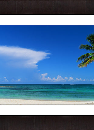 Atlantic Cove