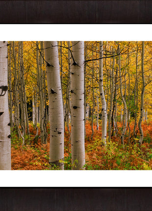 Crested Butte