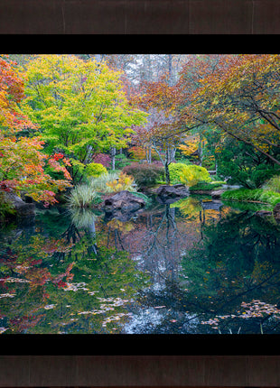 Silensce in The Garden