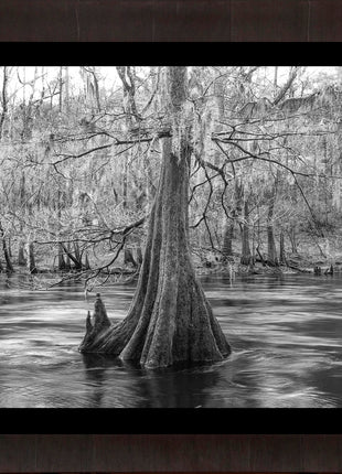 Santa Fe River