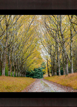 Golden Pathway