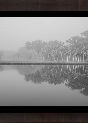 Royal Lake Reflections