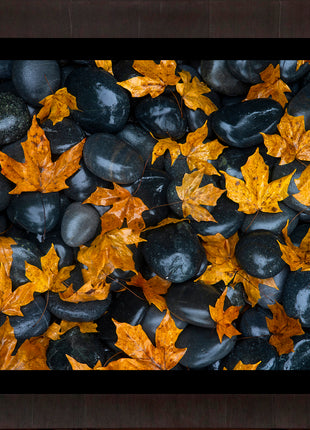 Echoes of Fall