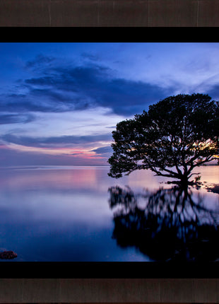 Dreamscape