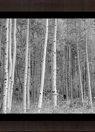 Aspen Highlands