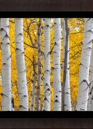 Seasons Glow